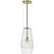 Dena 1 Light 7.00 inch Pendant