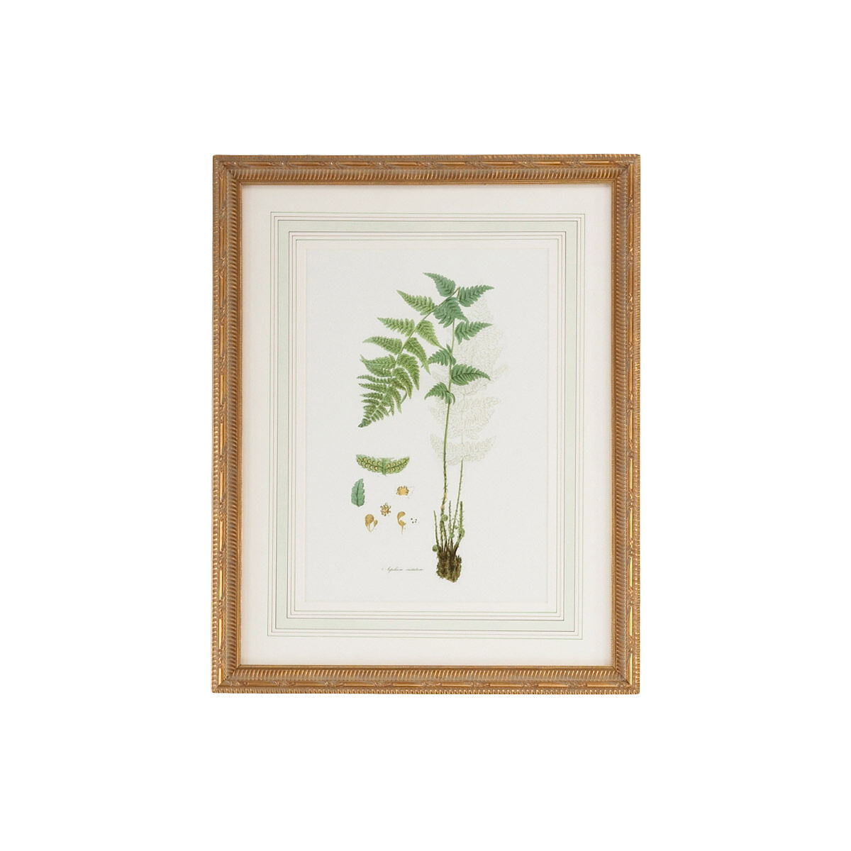 Chelsea House 28 X 22 inch Print