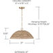 Naomi 1 Light 21 inch Matte Brass Pendant Ceiling Light