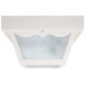 Outdoor 1 Light 9 inch White Outdoor Flush Mount