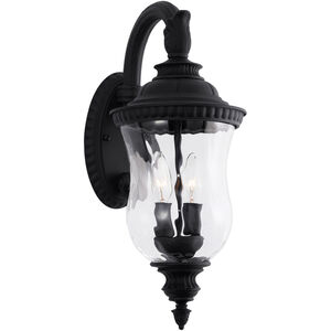 Ashford 2 Light 20 inch Black Outdoor Wall Lantern