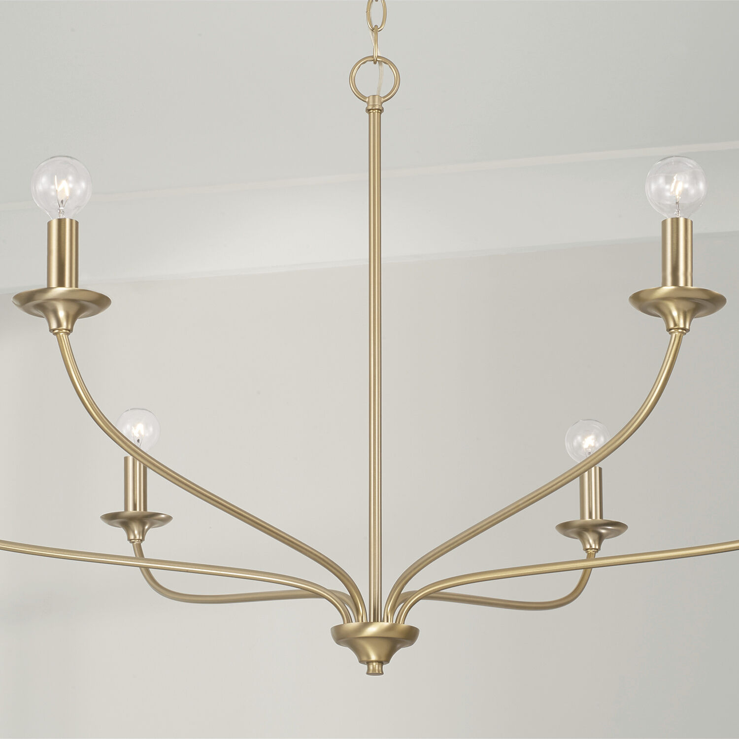 一番の贈り物 6 Dolan 449961MA Lighting Capital Light Matte inch 39.75 デュエルマスターズ