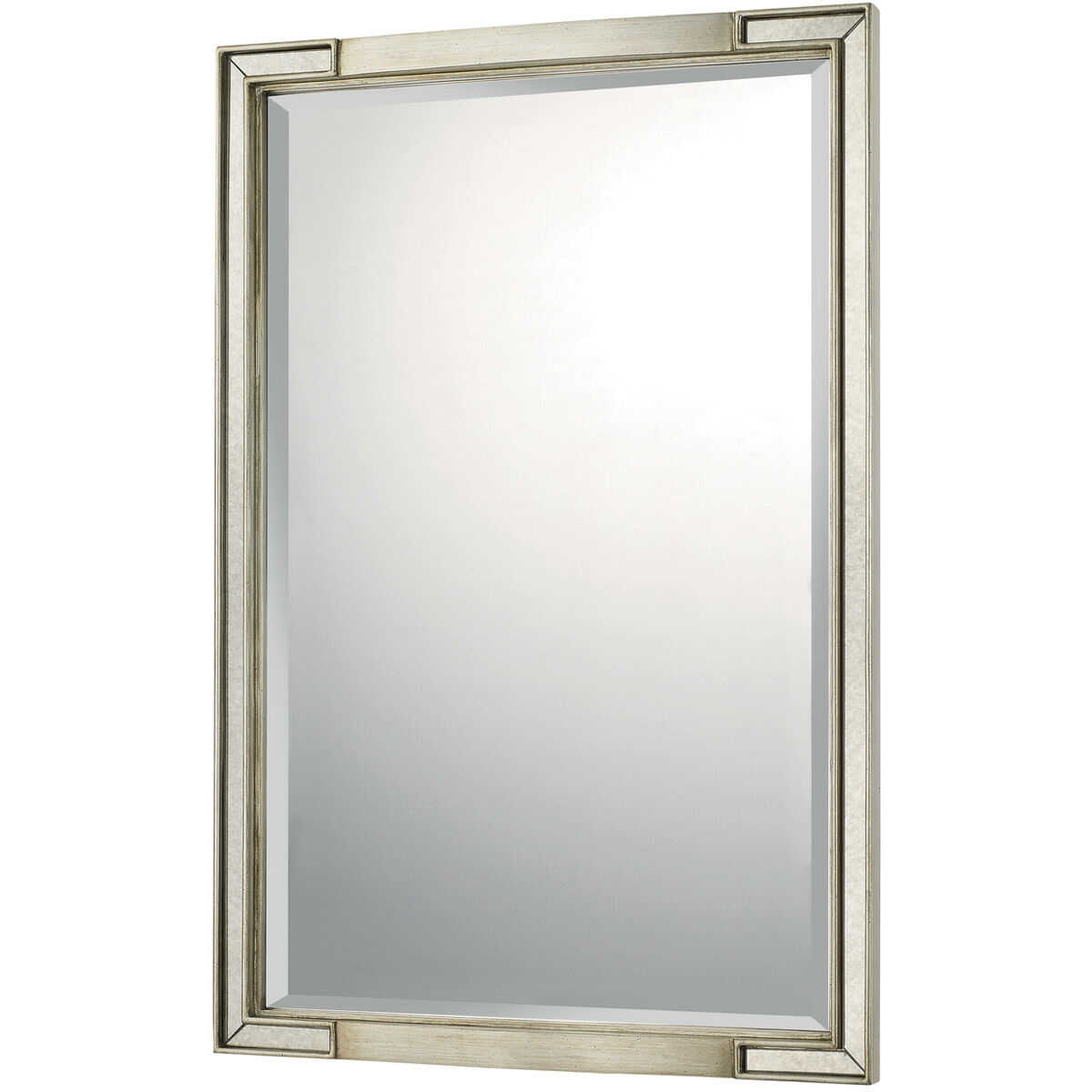 Mirror 36 X 24 inch Winter Gold Wall Mirror