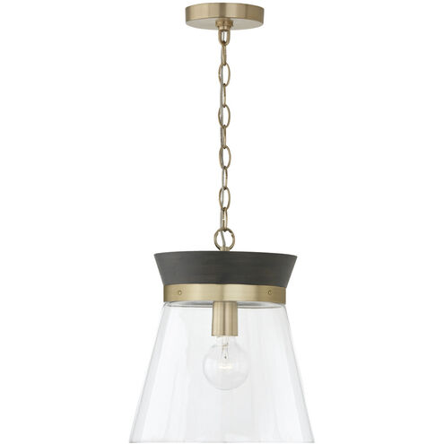 Finn 1 Light 12 inch Black Stain and Matte Brass Pendant Ceiling Light