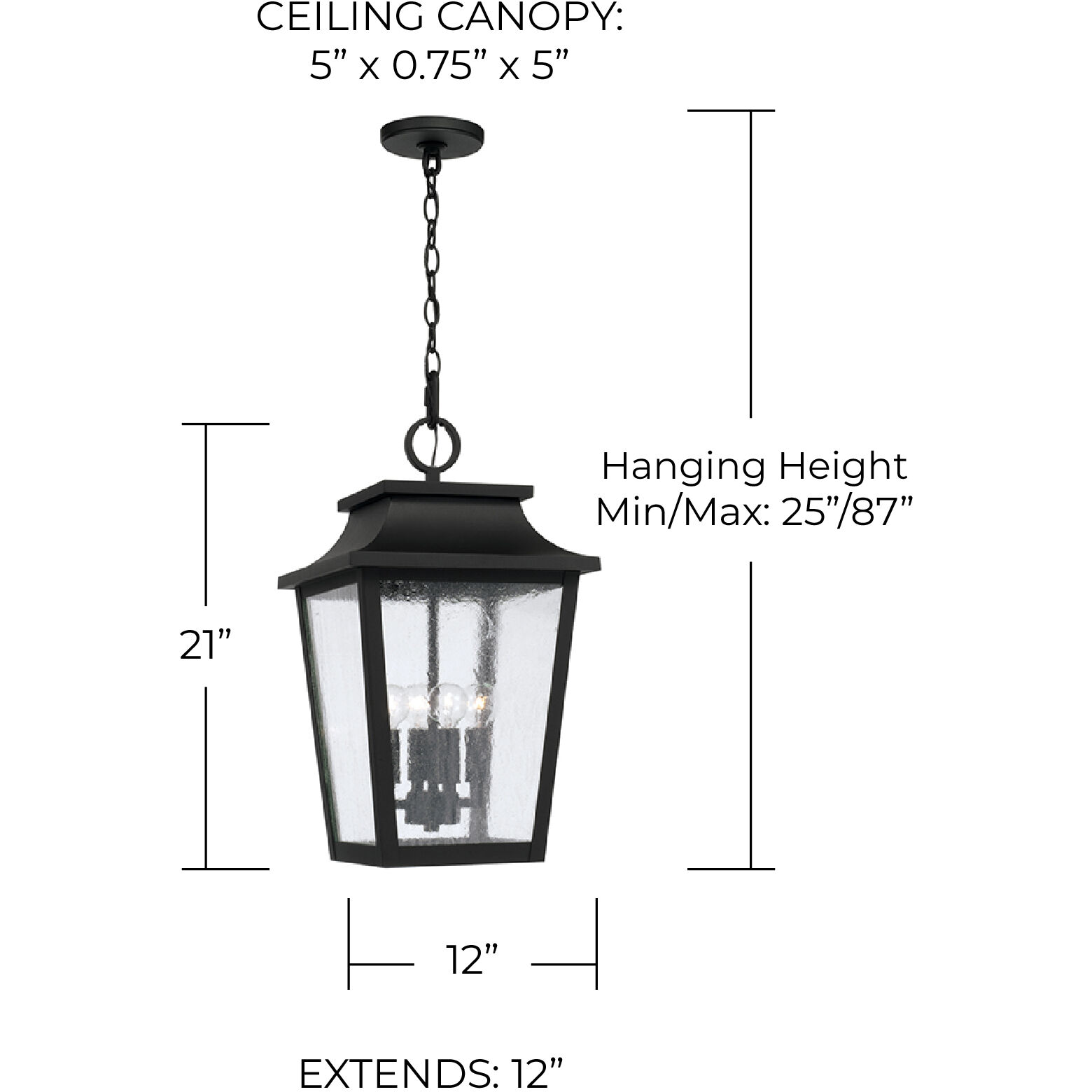 Chandler 4 Light 12 inch Black Outdoor Hanging Lantern