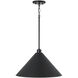 Alden 1 Light 18 inch Matte Black Pendant Ceiling Light