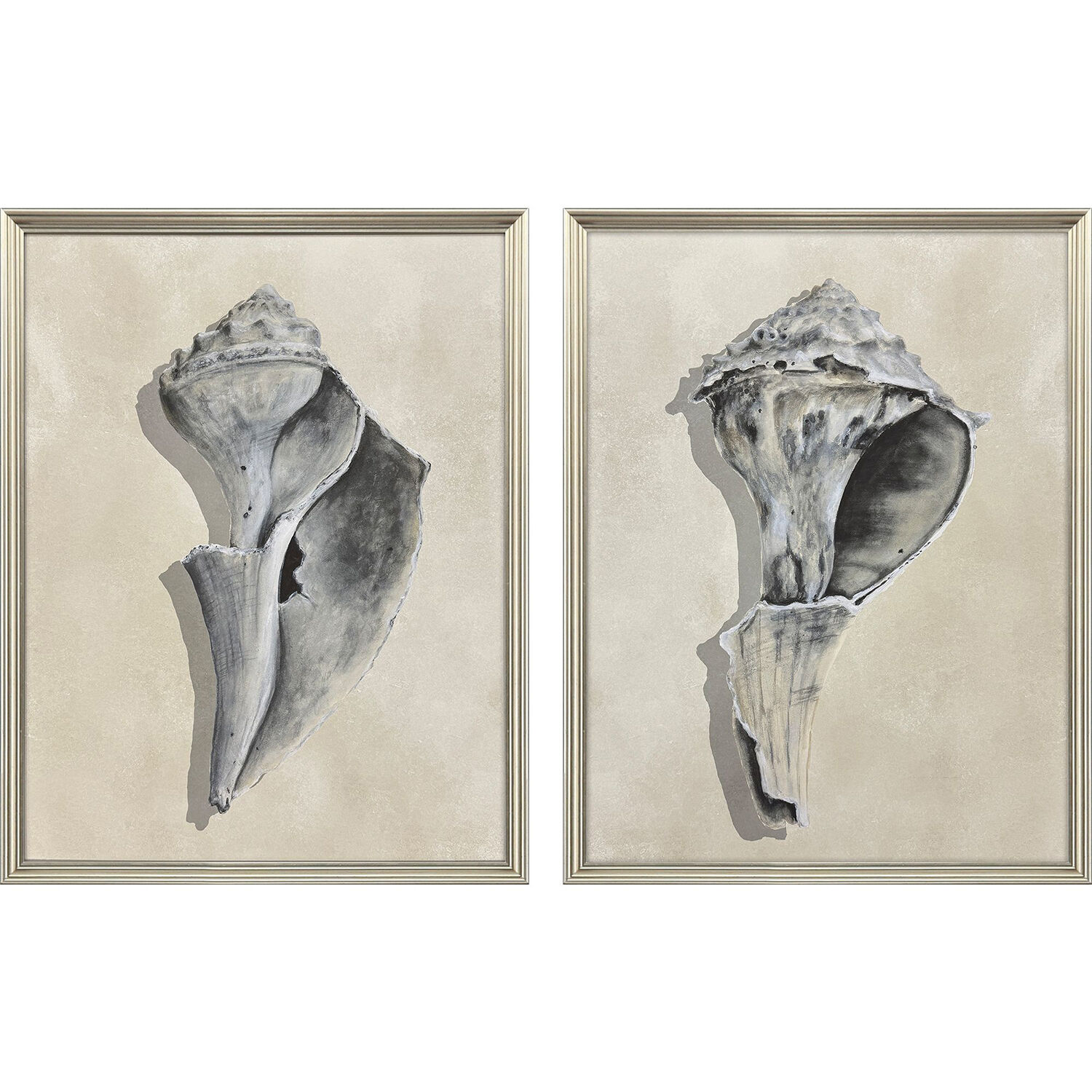 Broken Shells Gray and Beige and Brown and Neutral Framed Art