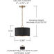 Donovan 1 Light 12.5 inch Black Stain and Matte Brass Semi-Flush Ceiling Light, Convertible Dual Mount