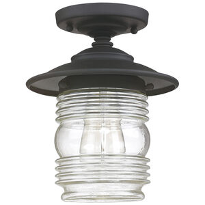 Creekside 1 Light 8 inch Black Outdoor Flush Mount in Clear