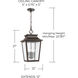 Chandler 4 Light 12 inch Oiled Bronze Outdoor Hanging Lantern