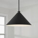 Alden 1 Light 18 inch Matte Black Pendant Ceiling Light