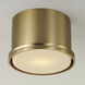 Griffin 1 Light 8.75 inch Aged Brass Flush Mount Ceiling Light