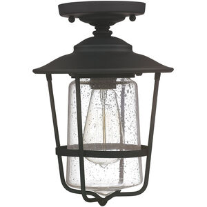 Creekside 1 Light 8 inch Black Outdoor Flush Mount in Clear