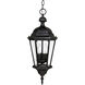 Carriage House 3 Light 10 inch Black Outdoor Hanging Lantern