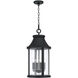 Bridger 4 Light 11.5 inch Black Outdoor Hanging Lantern