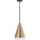 Avant 1 Light 9.75 inch Aged Brass and Black Pendant Ceiling Light