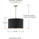 Donovan 3 Light 19.75 inch Black Stain and Matte Brass Pendant Ceiling Light