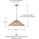 Maya 1 Light 19 inch Matte Brass Semi-Flush Ceiling Light, Convertible Dual Mount