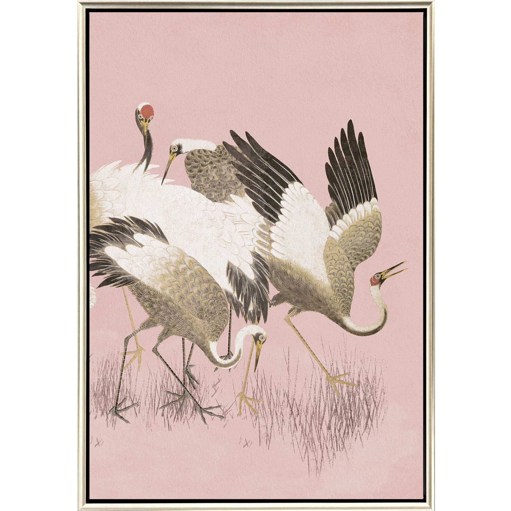 Curious Cranes Pink Canvas