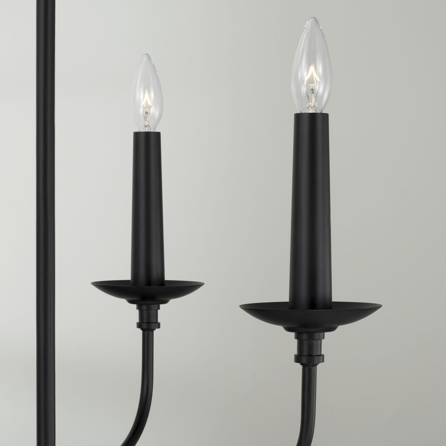 Wilder 4 Light 21.5 inch Matte Black Chandelier Ceiling Light