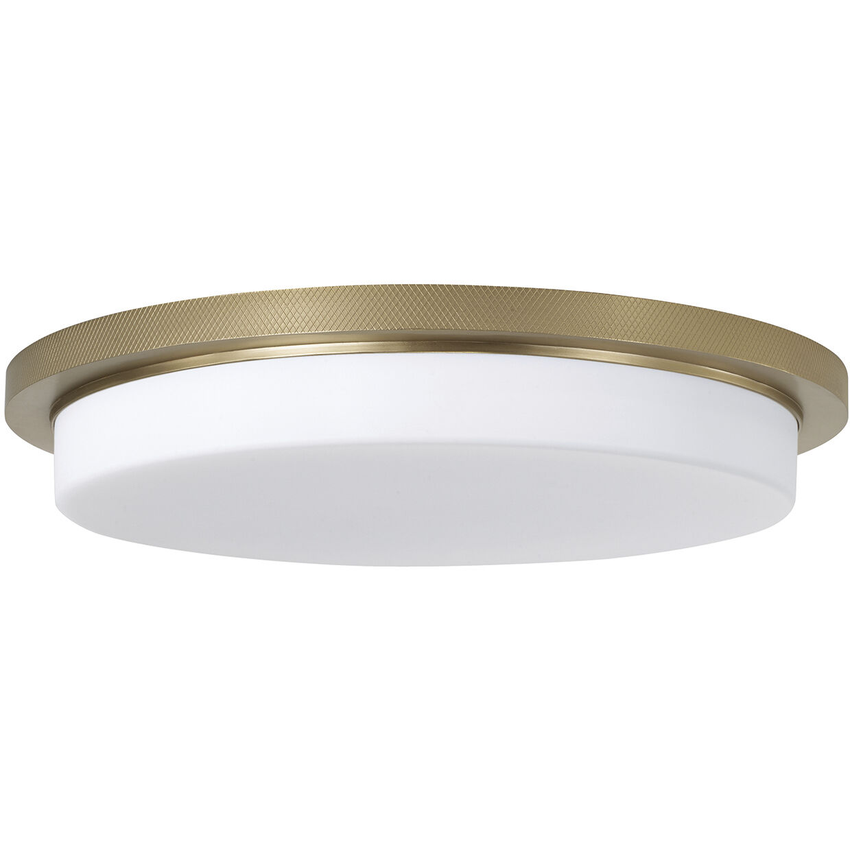 Dominic LED 16 inch Aged Brass Flush Mount Ceiling Light