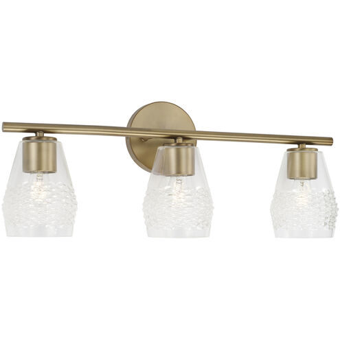Dena 3 Light 23 inch Aged Brass Vanity Light Wall Light