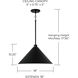 Alden 1 Light 18 inch Matte Black Pendant Ceiling Light