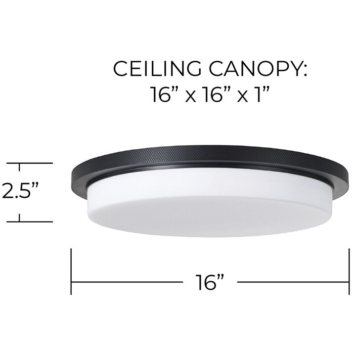 Dominic LED 16 inch Matte Black Flush Mount Ceiling Light