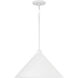 Alden 1 Light 18.00 inch Pendant