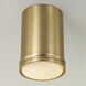 Griffin LED 5.5 inch Aged Brass Flush Mount Ceiling Light