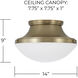Arlo 3 Light 14 inch Aged Brass Flush Mount Ceiling Light