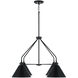 Alden 4 Light 32.5 inch Matte Black Chandelier Ceiling Light