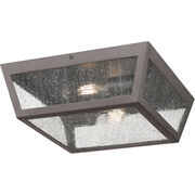 Outdoor Ceiling Lights
