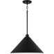 Alden 1 Light 18 inch Matte Black Pendant Ceiling Light