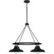 Jones 4 Light 32 inch Matte Black Chandelier Ceiling Light