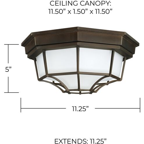 Outdoor 2 Light 11 inch Old Bronze Outdoor Flush Mount