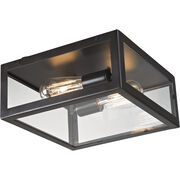 Flush Mounts