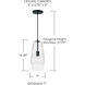 Dena 1 Light 7 inch Matte Black Pendant Ceiling Light